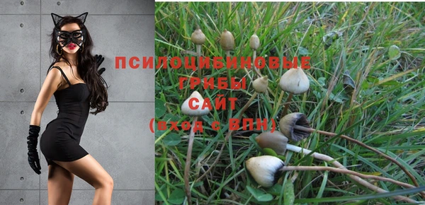 прущие крисы Дмитровск