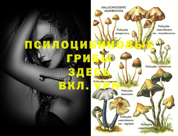прущие крисы Дмитровск