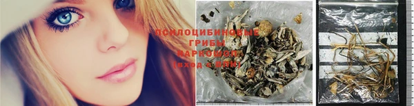 прущие крисы Дмитровск