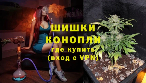 гидра Ельня