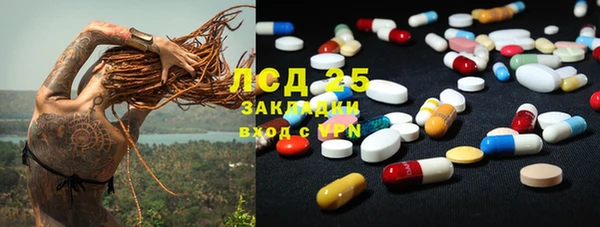 ГАЛЛЮЦИНОГЕННЫЕ ГРИБЫ Дмитров