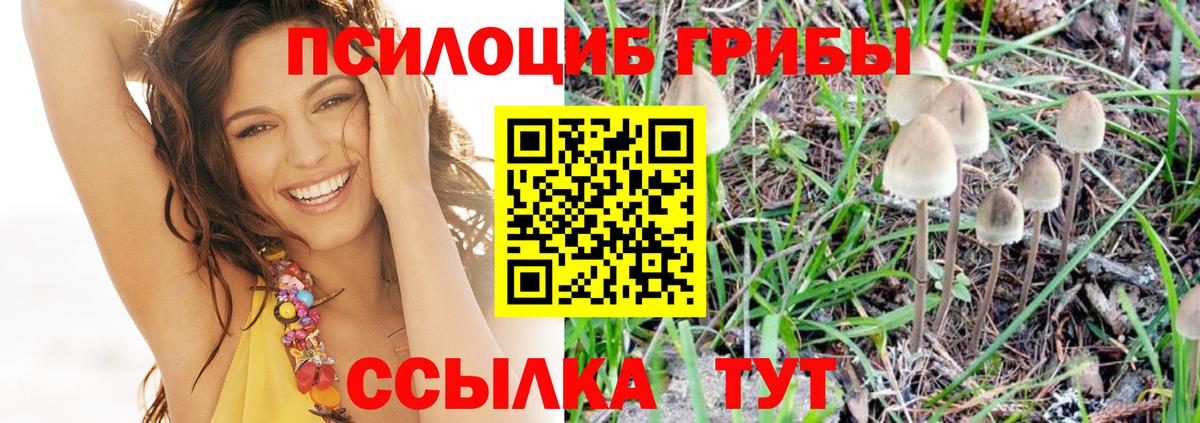 Псилоцибиновые грибы мицелий Заречный