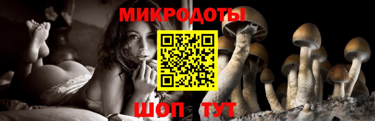 Галлюциногенные грибы прущие грибы  Вход с VPN  Заречный  Псилоцибиновые грибы мицелий 